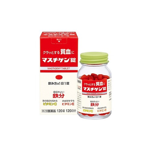 빈혈 마스치겐정 60정